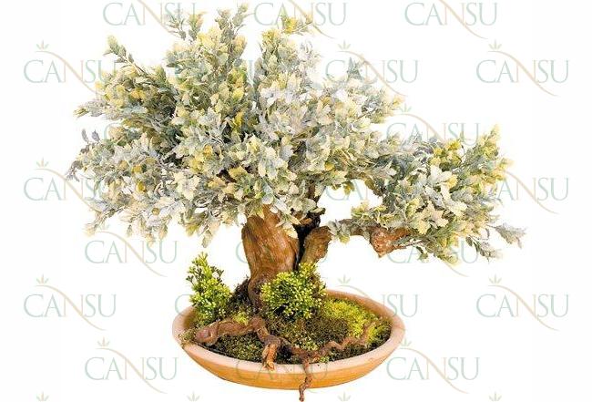 Yapay Bonsai, Model No: CT-02-166